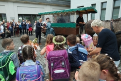 SAMSUNG CAMERA PICTURES