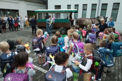 SAMSUNG CAMERA PICTURES