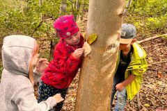 Sept.-2026-Waldtag-20