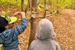 Sept.-2026-Waldtag-23