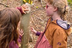 Sept.-2026-Waldtag-24