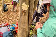 Sept.-2026-Waldtag-25