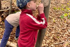 Sept.-2026-Waldtag-27