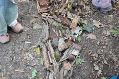 Sept.-2026-Waldtag-30